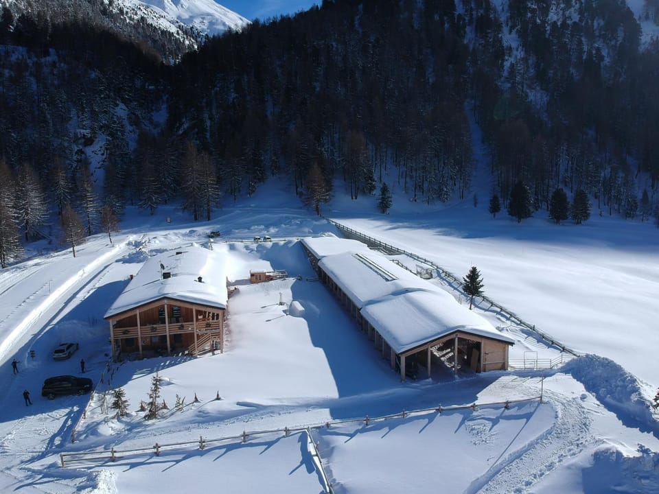 Property building, Winter