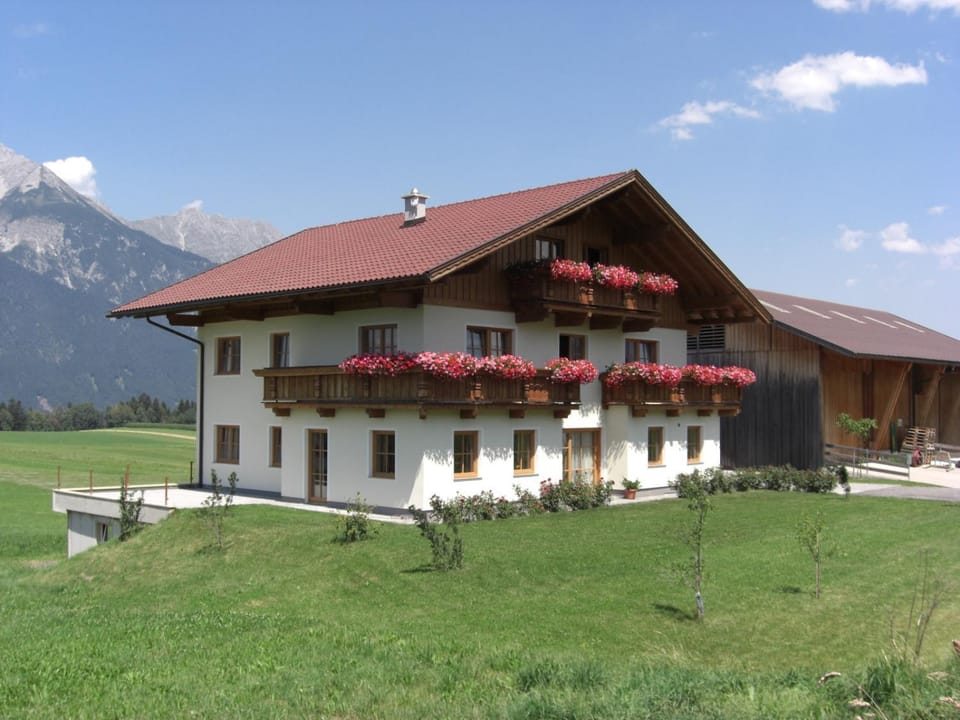 Property building, Day, Garden