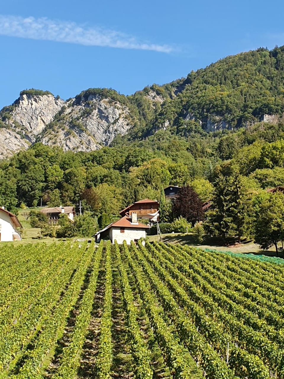 Hotel Bellevue Hotel in Haute-Savoie