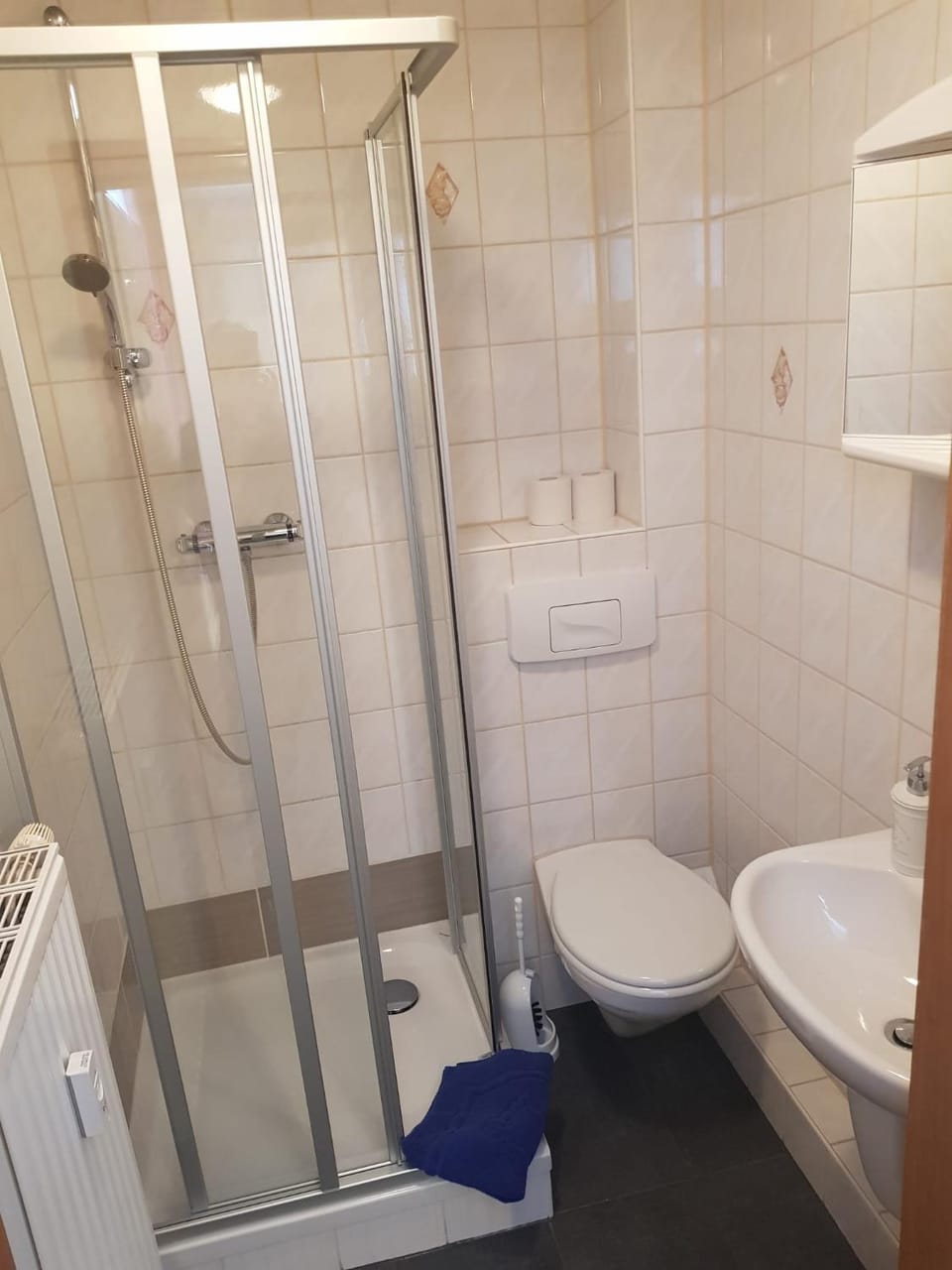 Shower, Toilet, Bathroom, towels