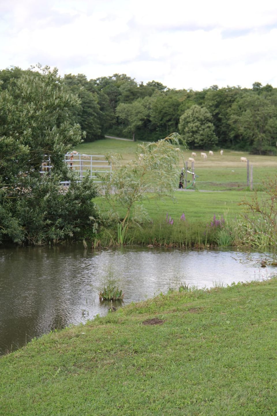 Natural landscape, Garden, Other