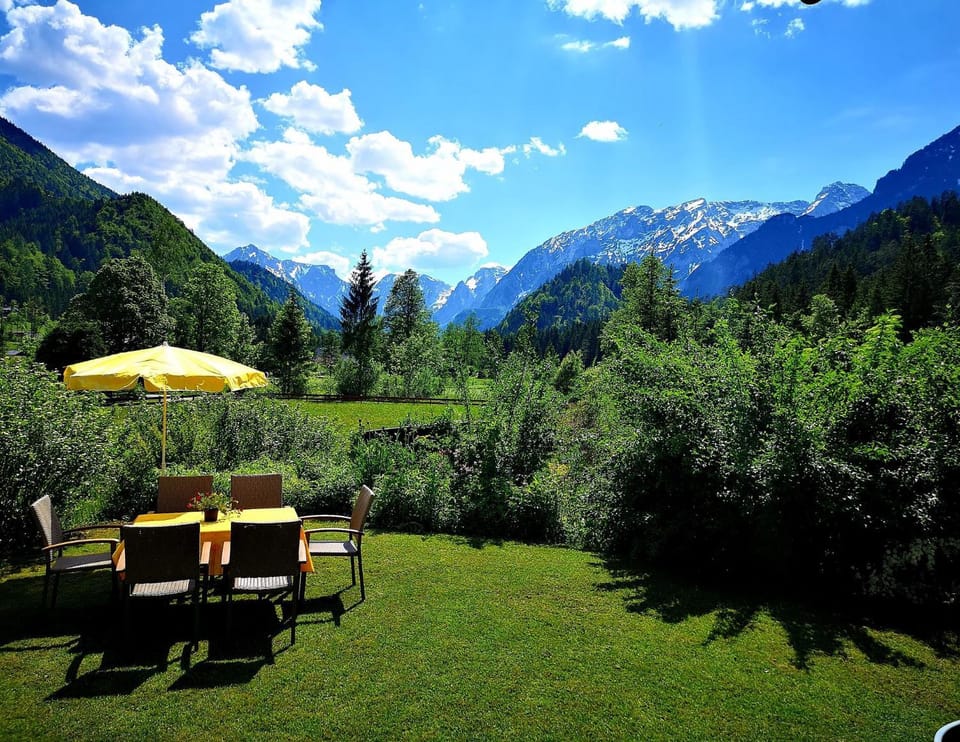 Haus Edlinger Apartment in Upper Austria