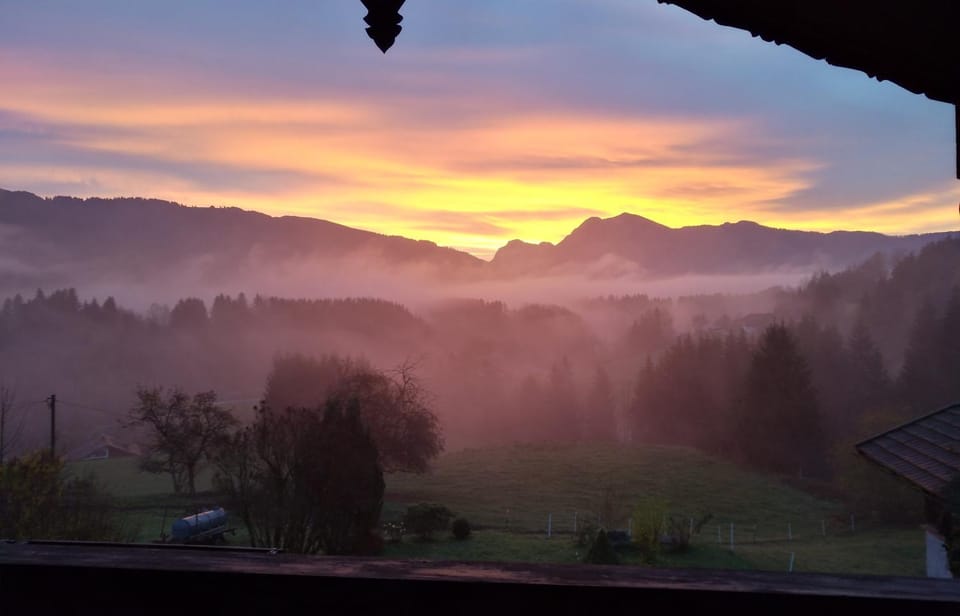 Natural landscape, Autumn, On site, Sunrise