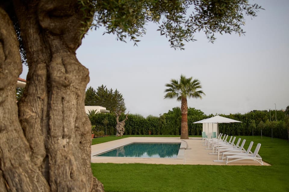 Day, Garden view, Pool view, Swimming pool