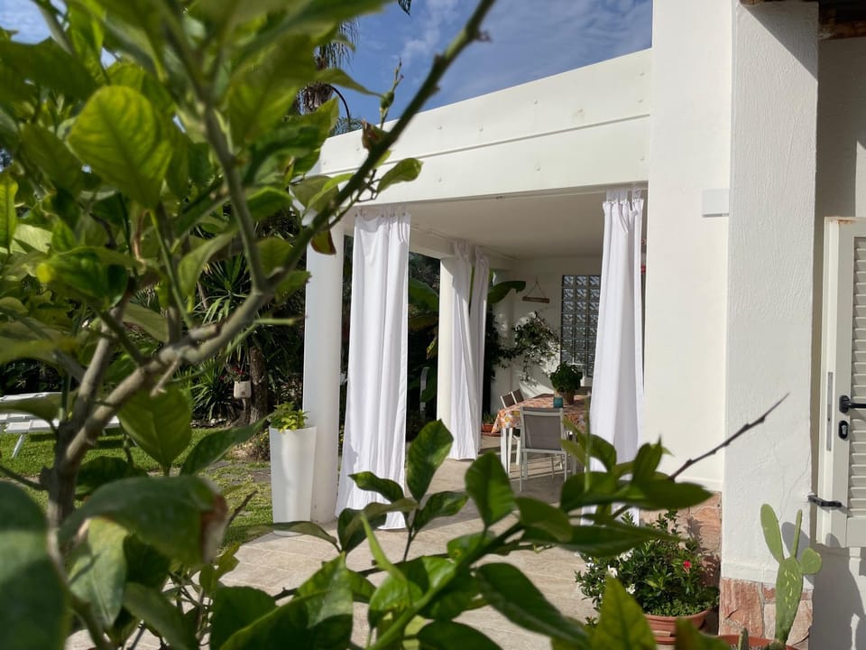 Patio, Dining area