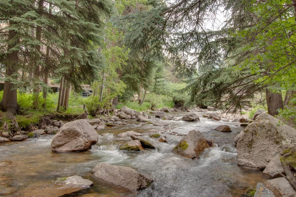 Timber Falls 3/2 condo in E Vail 4480 Timber Falls Ct, #1504, Vail, CO 81657 Apartment in Vail