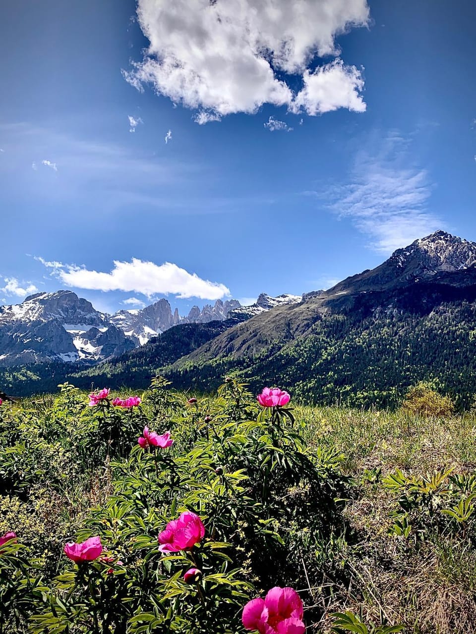 Natural landscape