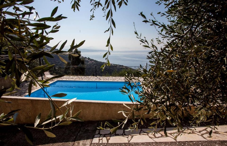 Garden, Swimming pool
