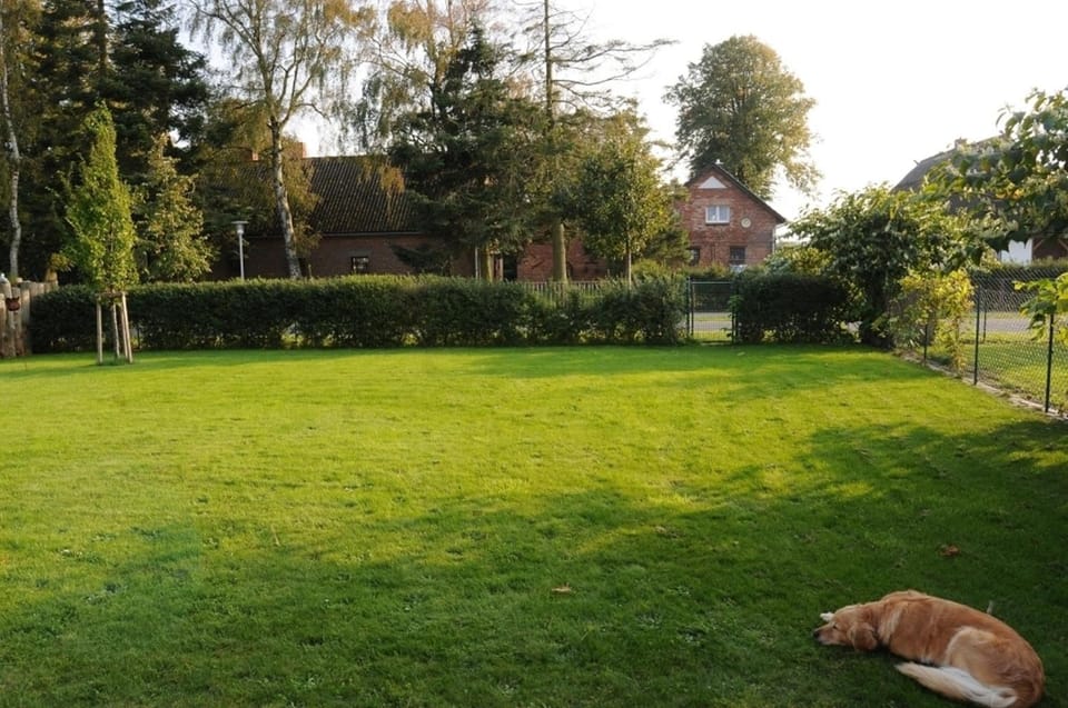 "Katenblick" Doppelhaushälfte House in Mecklenburg-Vorpommern, Germany