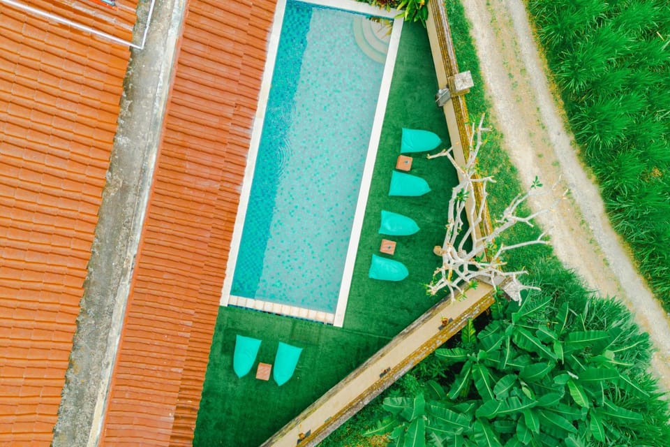 Day, Garden, Garden view, Pool view, Swimming pool, sunbed