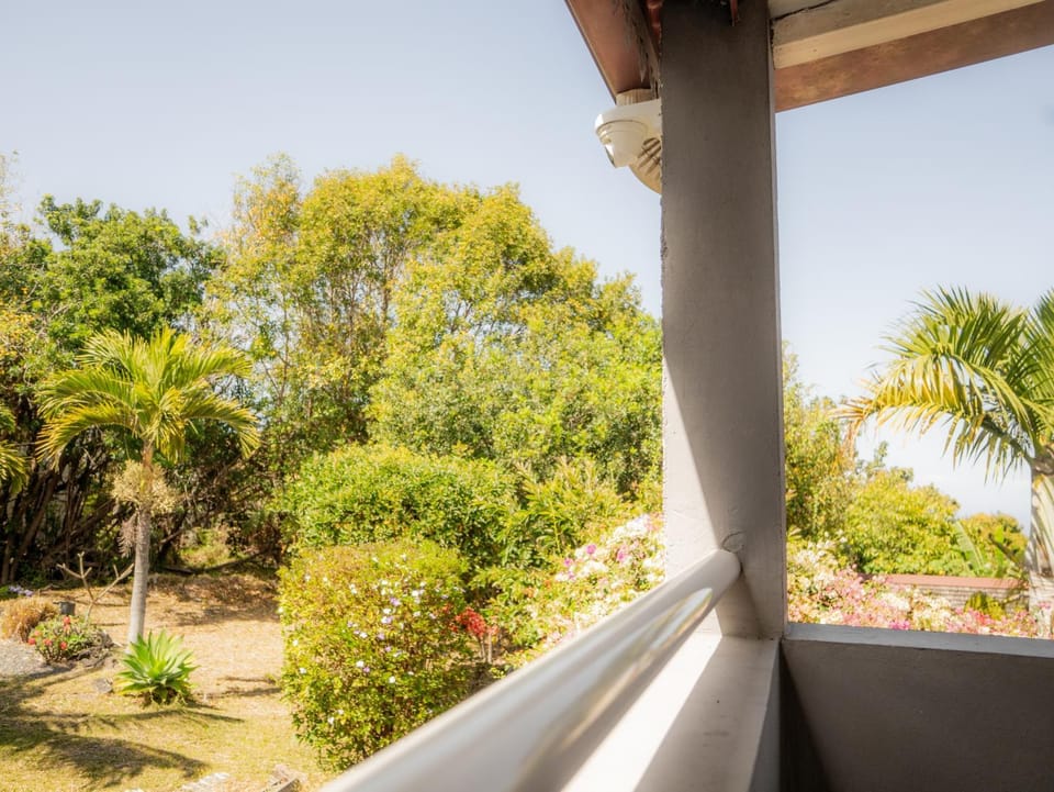 Balcony/Terrace, Garden view