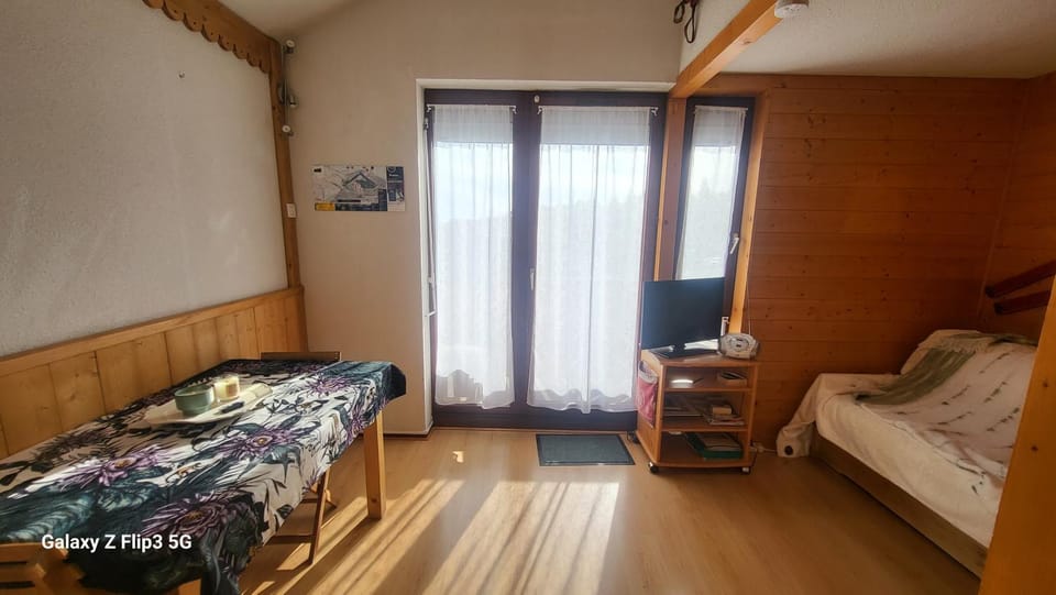 Grandes Pistes 302 Apartment in Manigod