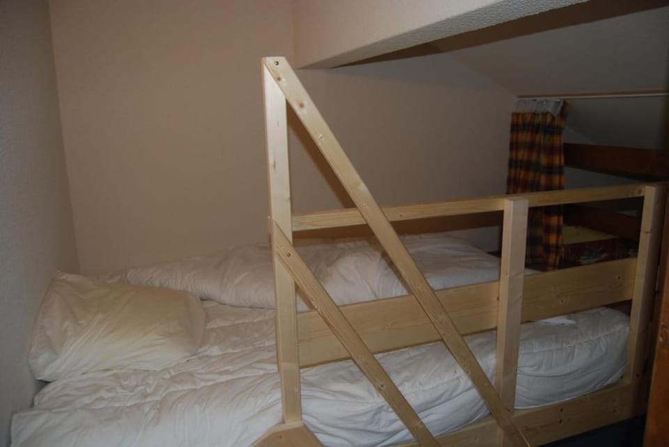 SKI Sun 3212 Apartment in Manigod