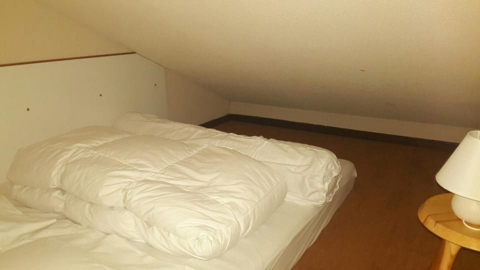 Ski Sun 3315 Apartment in Manigod