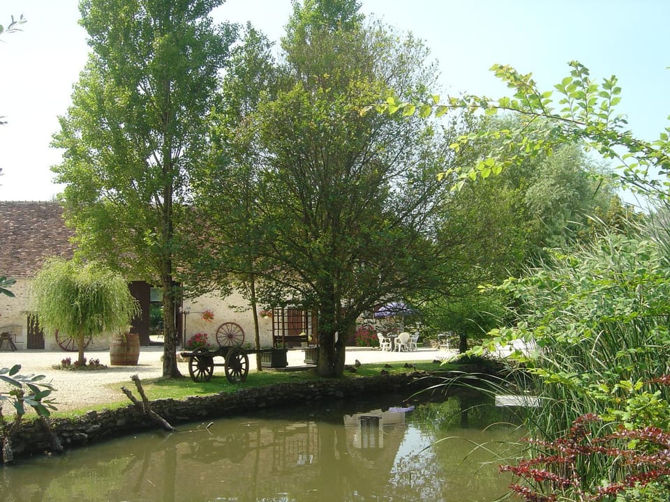 Natural landscape, Garden