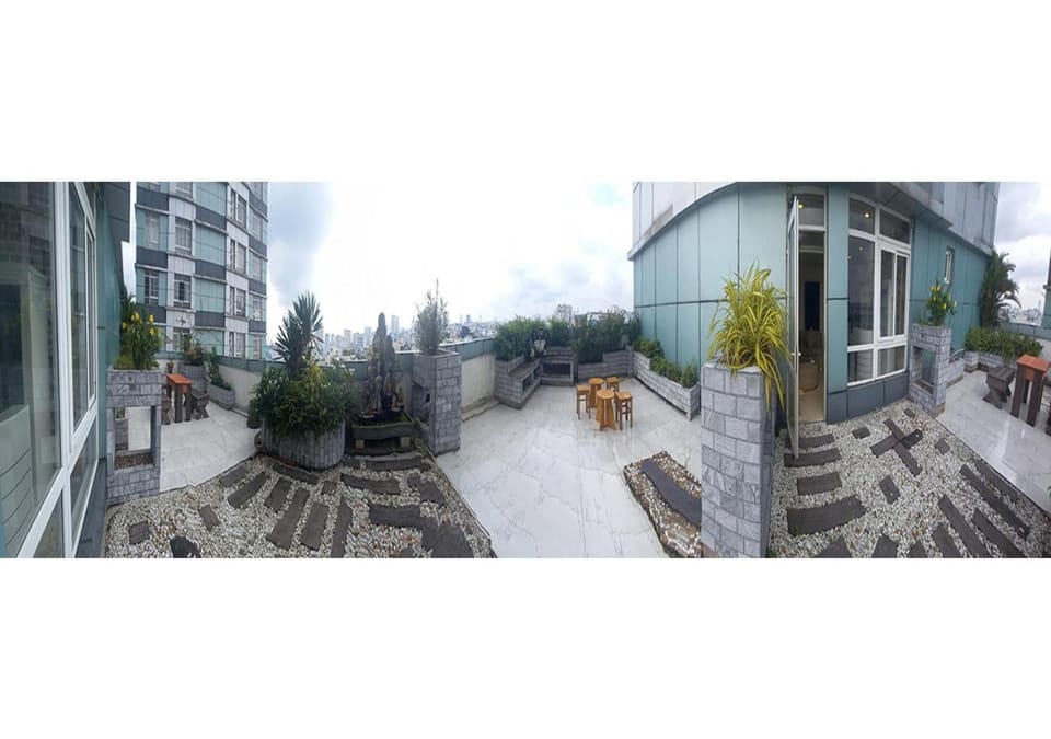 Day, Garden, Garden