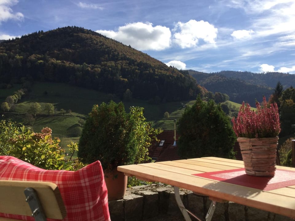 View (from property/room), Balcony/Terrace