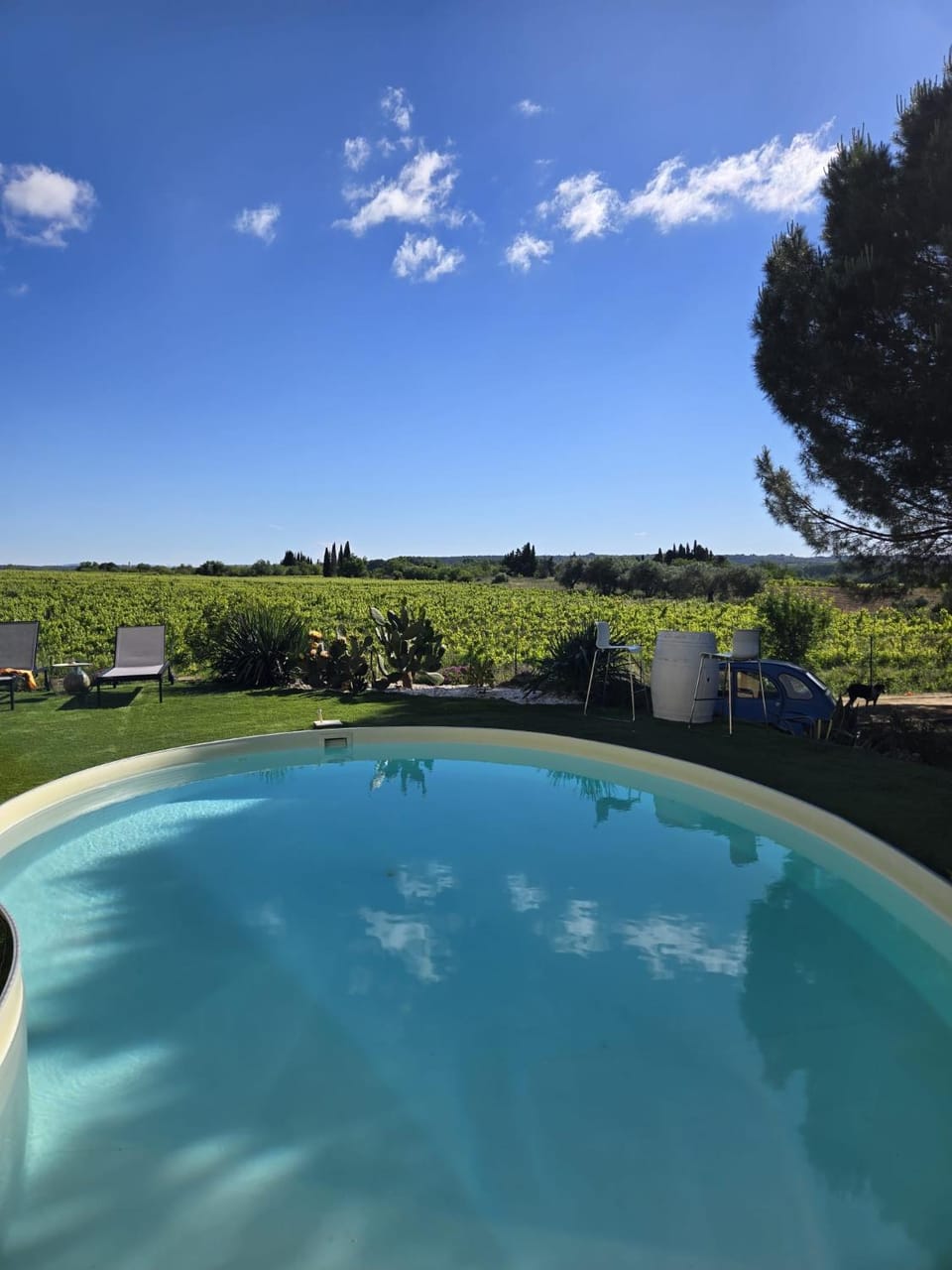 VILLA de CHARME avec piscine, sans vis à vis, vue sur les vignes et oliviers Vacation rental in Occitanie