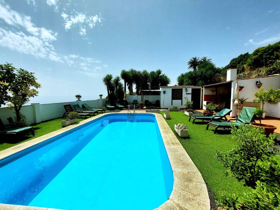 Garden, Garden view, Pool view, Swimming pool, sunbed