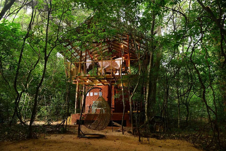 Back of Beyond - Pidurangala Nature lodge in Dambulla