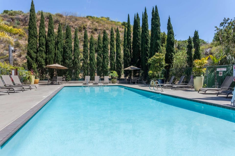 On site, Pool view, Swimming pool, Swimming pool