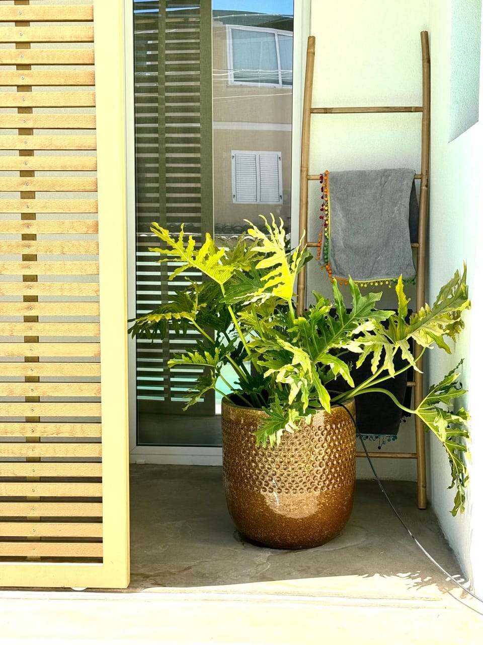 Patio, Patio, Garden, Balcony/Terrace, Balcony/Terrace