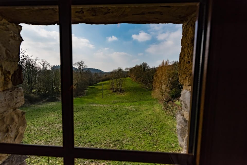 Garden view