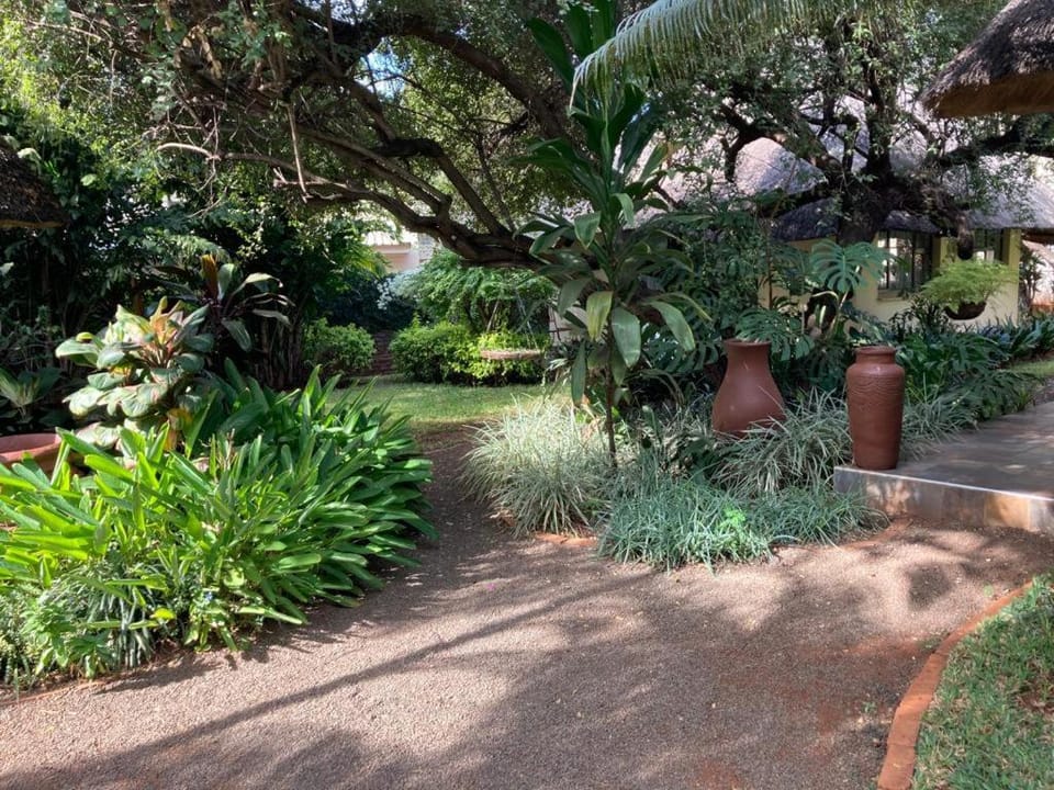 Natural landscape, Garden, Garden view