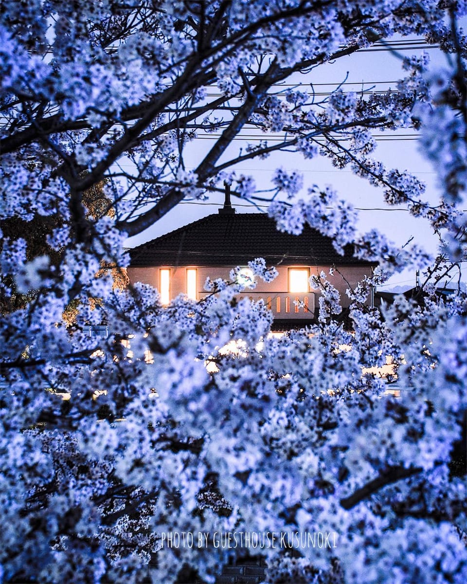 kusunoki for women-only guesthouse Bed and Breakfast in Hiroshima Prefecture