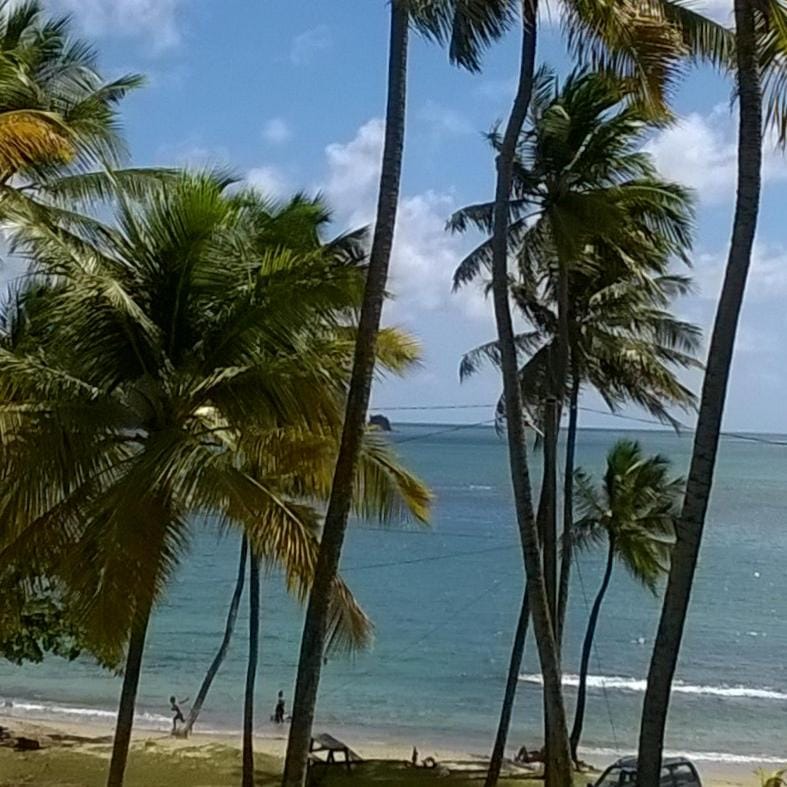 Palm View Vacation rental in Caribbean