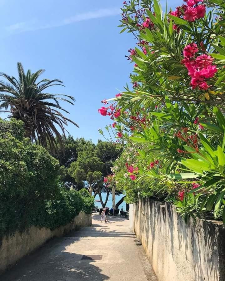Apartman SARA GALILEO BLIZU PLAZE Apartment in Makarska