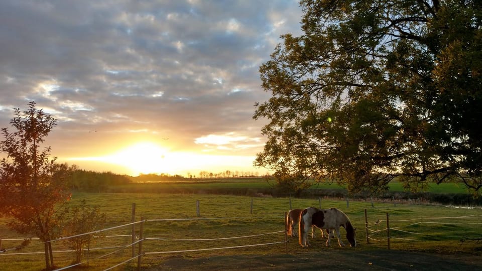 View (from property/room), Animals, River view