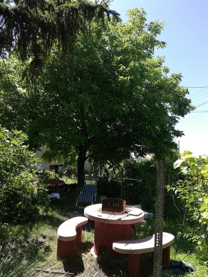 Garden, Garden view
