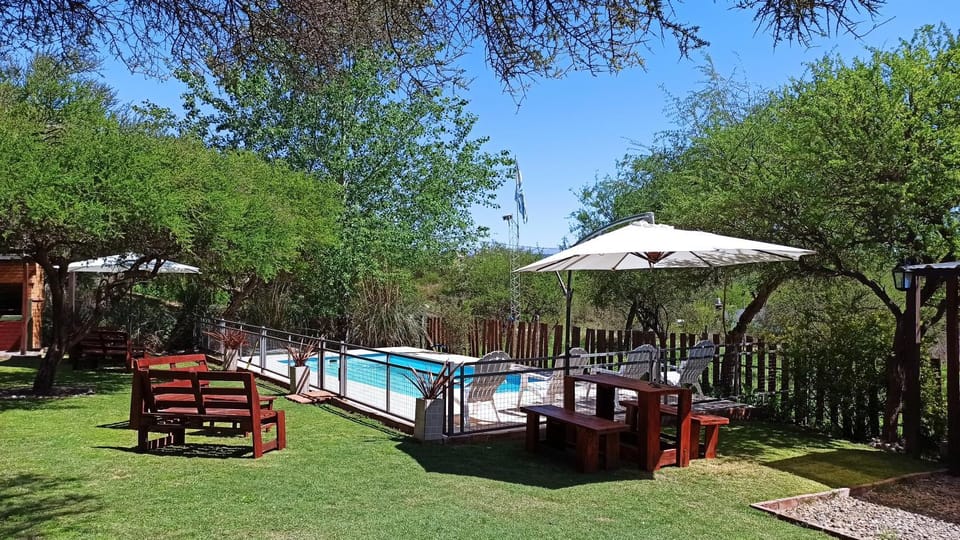 Patio, Spring, Day, Natural landscape, Garden, Garden view, Pool view, Swimming pool