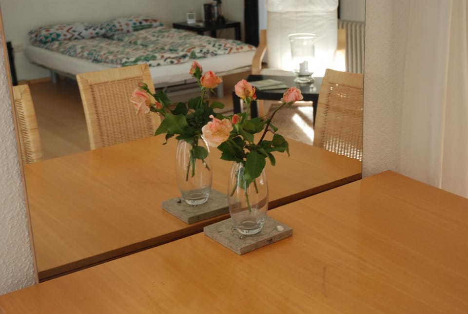 Das grüne Häusle Apartment in Lower Saxony, Germany