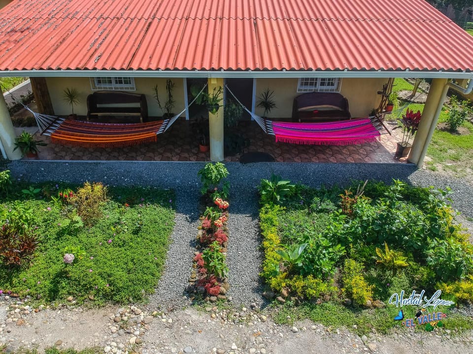 Patio, Garden