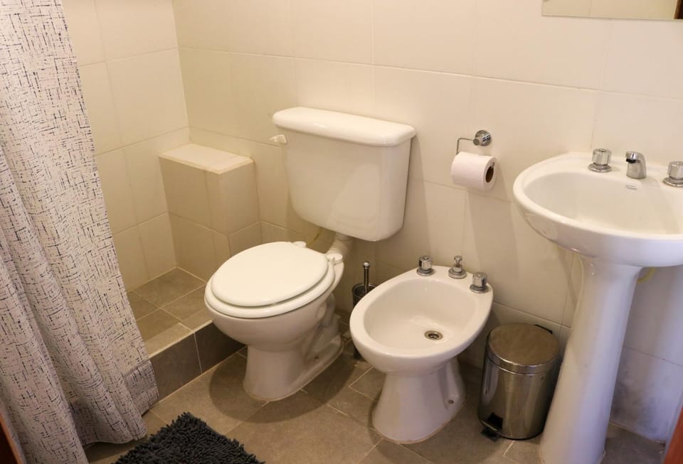 Shower, Bathroom, bidet
