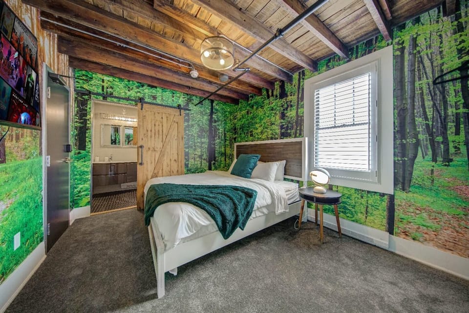 Bed, Photo of the whole room, Bedroom