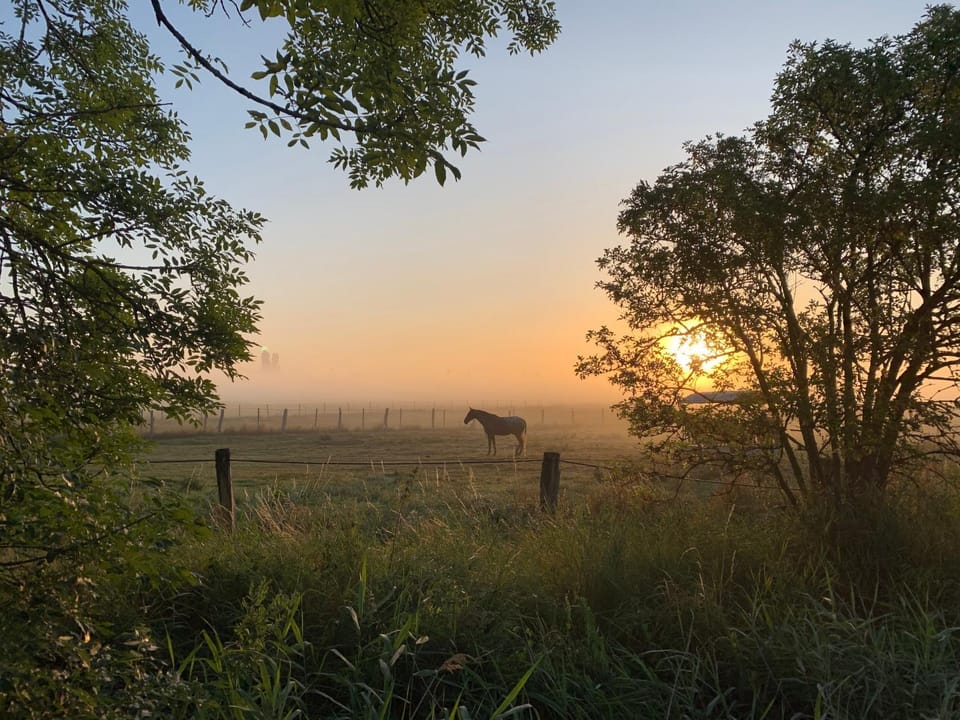 Natural landscape