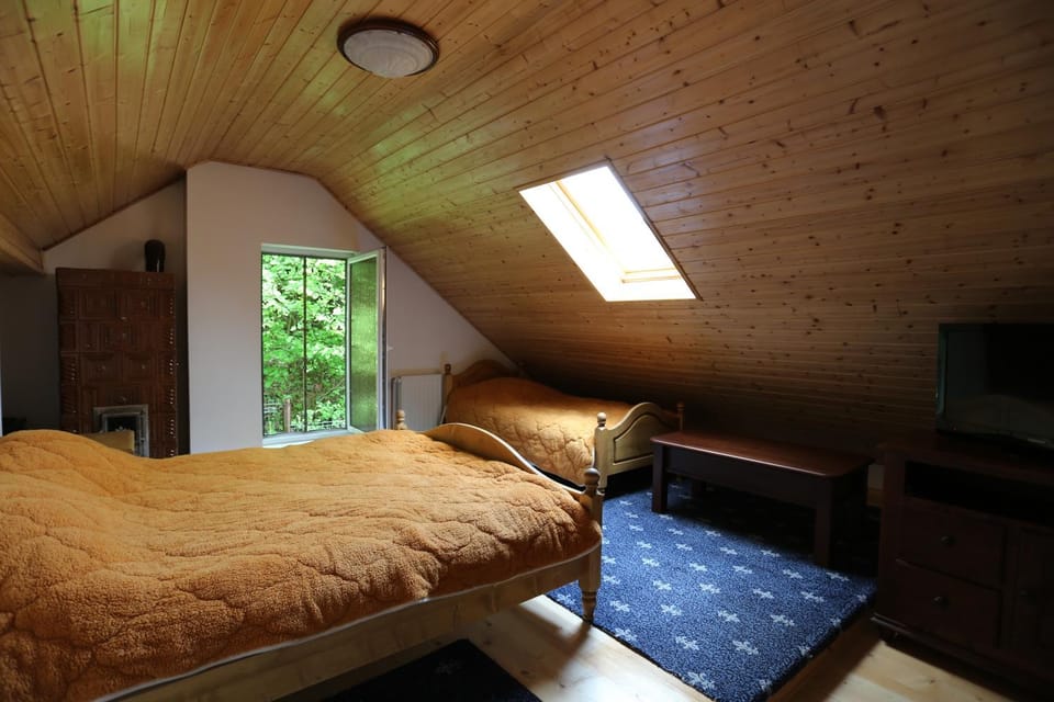 Casuta cu Zorele Vacation rental in Romania
