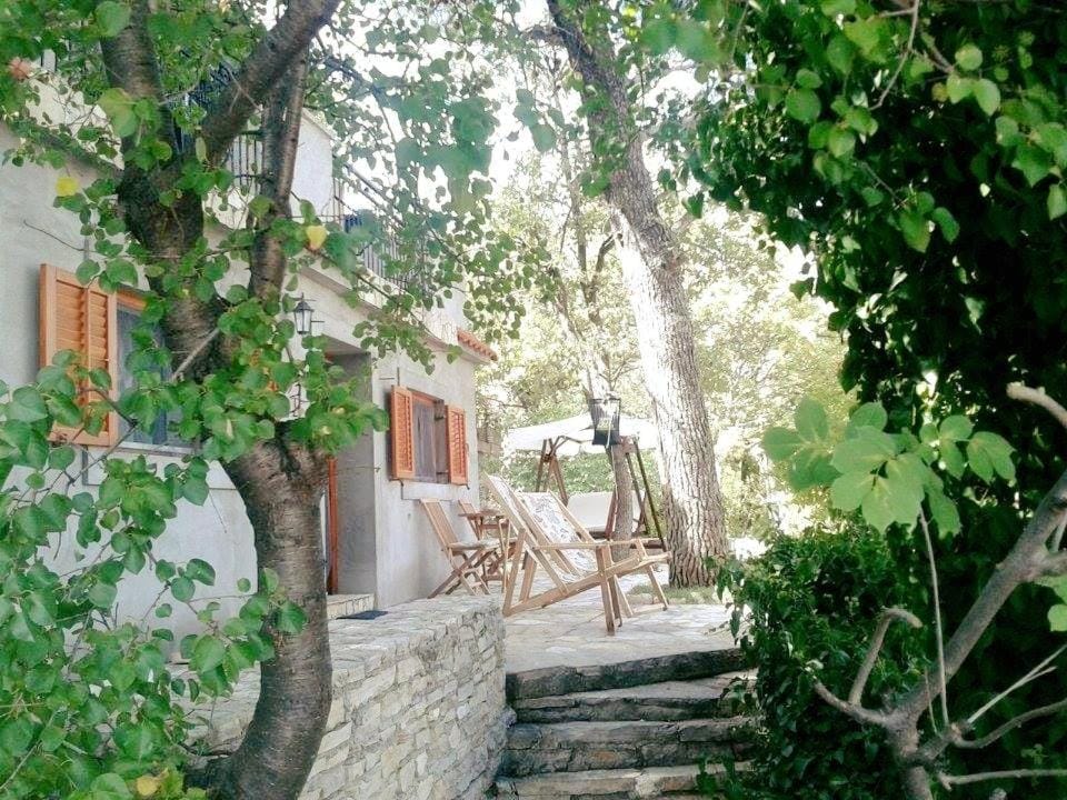 Patio, Garden, Garden view