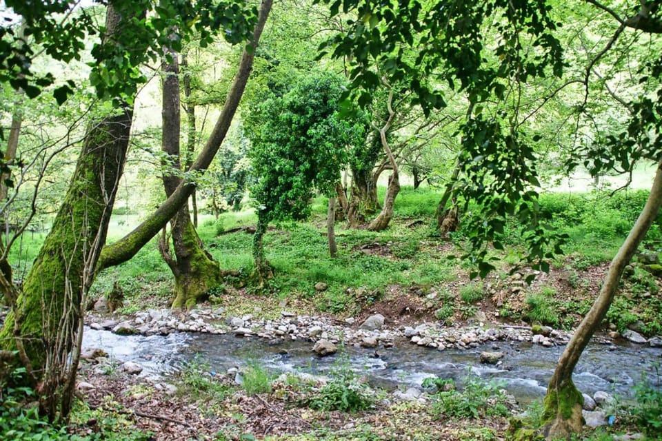 Nearby landmark, Natural landscape