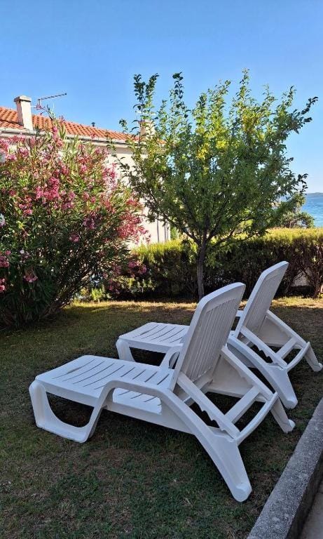 Patio, Garden, Garden view