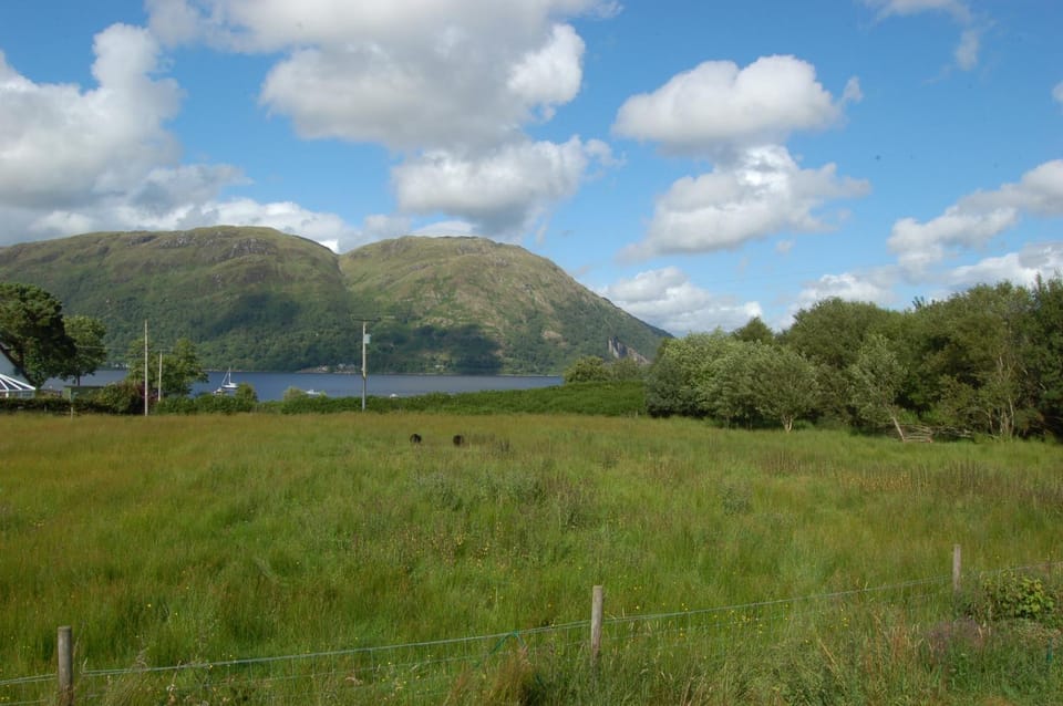 Day, Neighbourhood, Natural landscape, Summer, Garden, Animals, On site, Lake view, Lake view, Mountain view, Mountain view, Sea view, Sea view