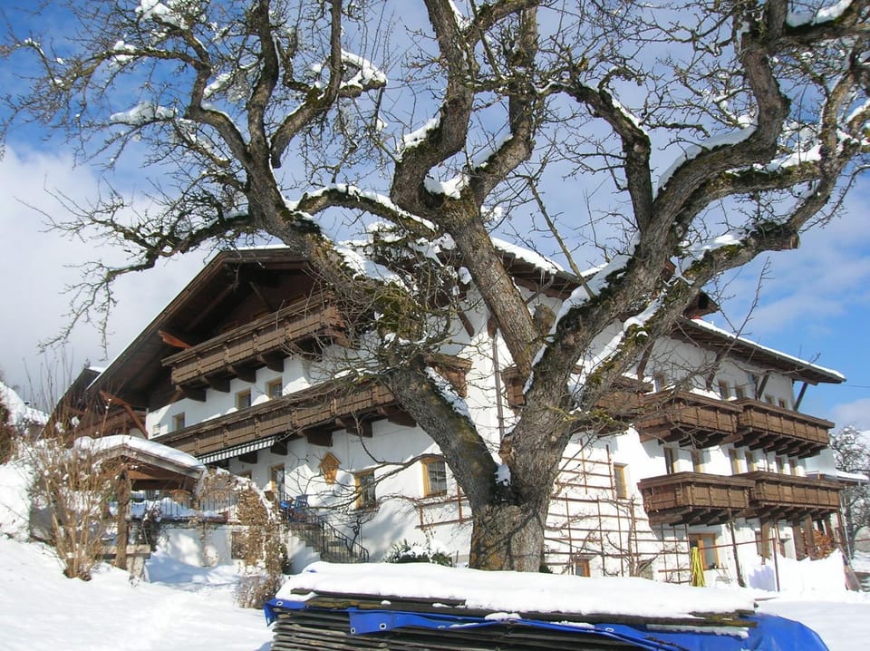 Winter