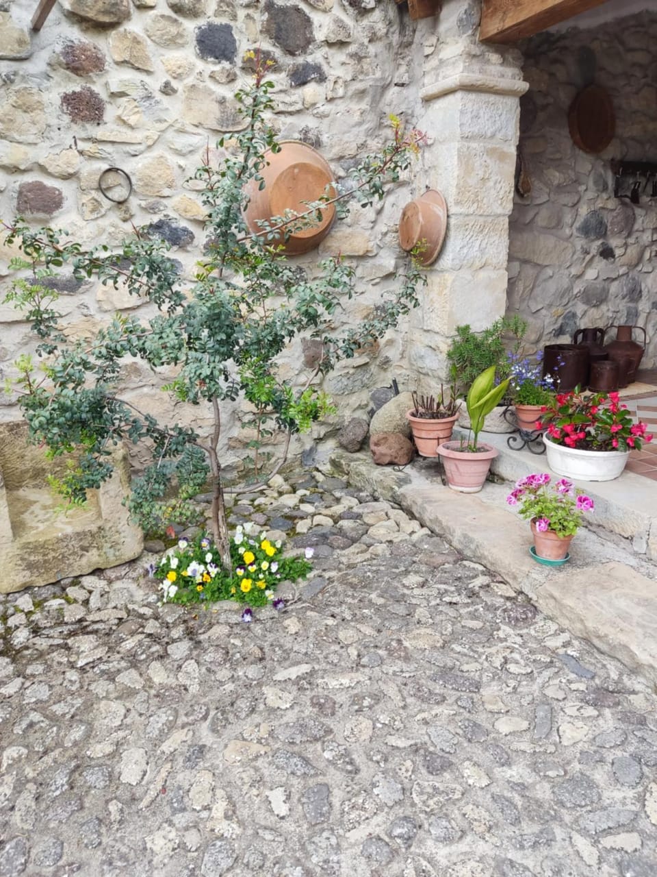 Casa museo "Sa domu de ziu Antoneddu" Bed and Breakfast in Sardinia