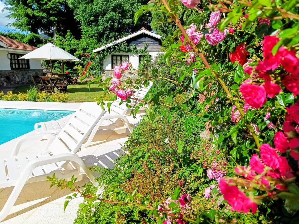 Apart Rose Garden Nature lodge in San Martín de los Andes