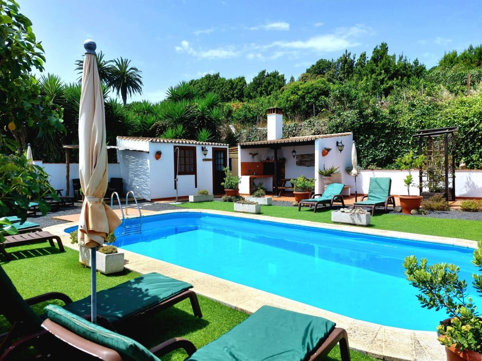 Garden, Garden view, Pool view, Swimming pool, sunbed