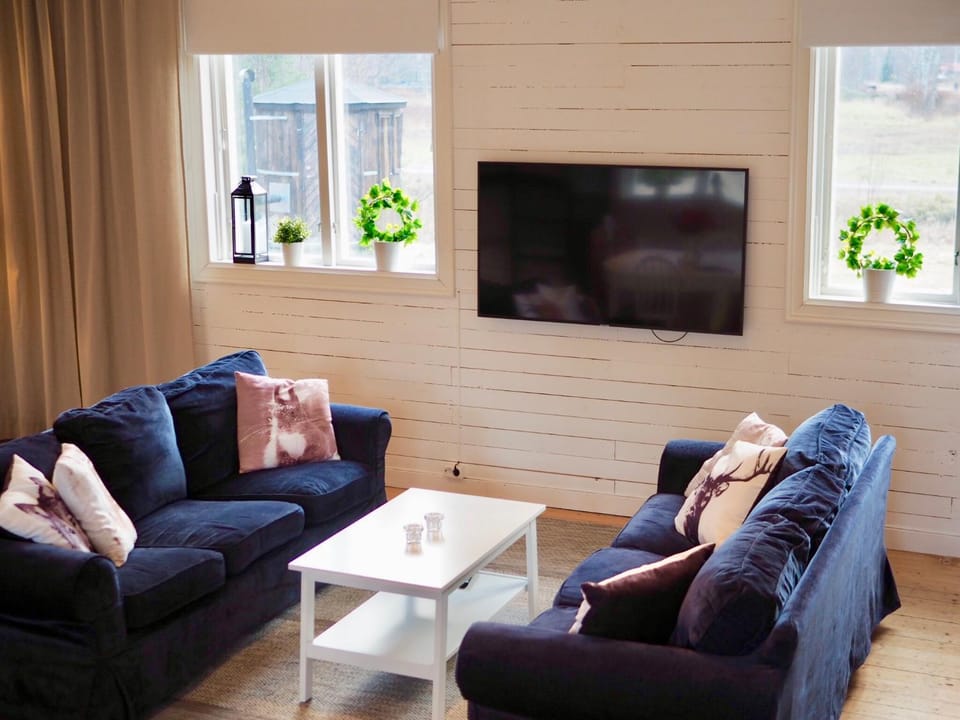 TV and multimedia, Living room