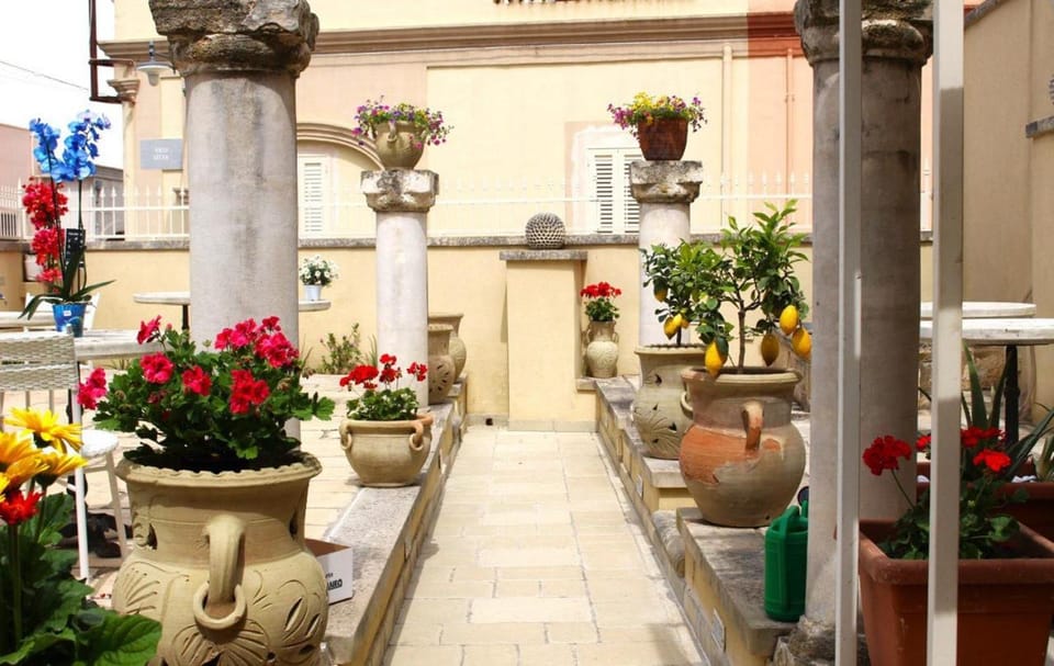 Day, Garden, Garden view